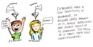 Introvert dopamine sensitivity