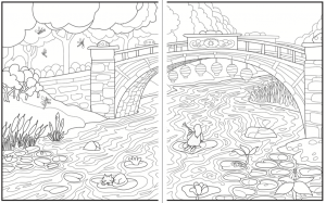 Introvert Dreams coloring book nature