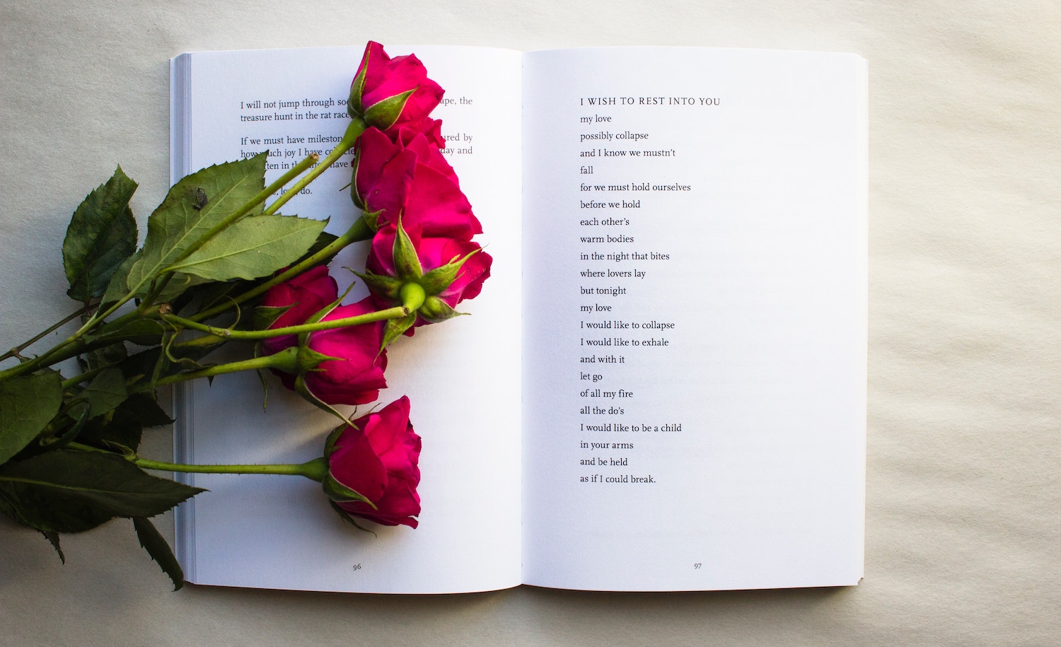 roses on a book representing INFJ quotes by INFJ people