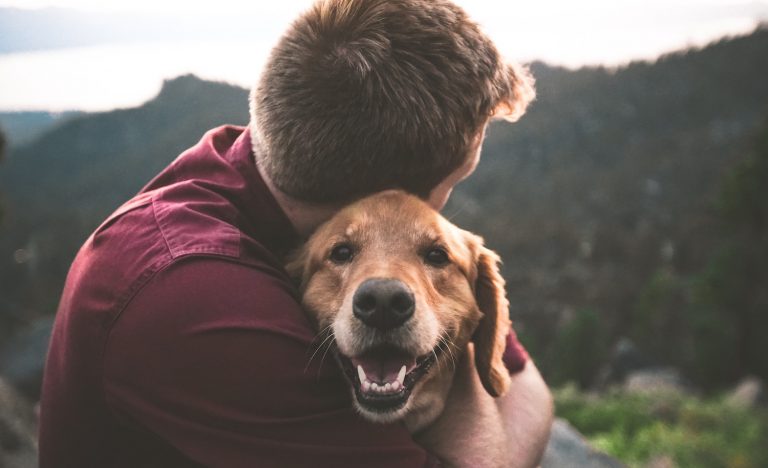 6 Reasons Introverts and Pets Are Perfect for Each Other