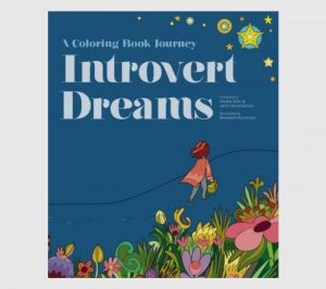 gifts for introverts introvert dreams