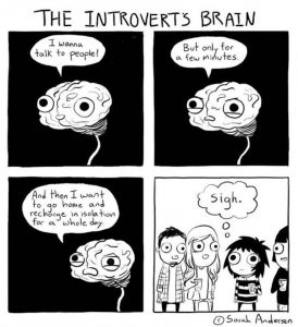 the introvert's brain meme