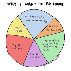 why I want to go home meme