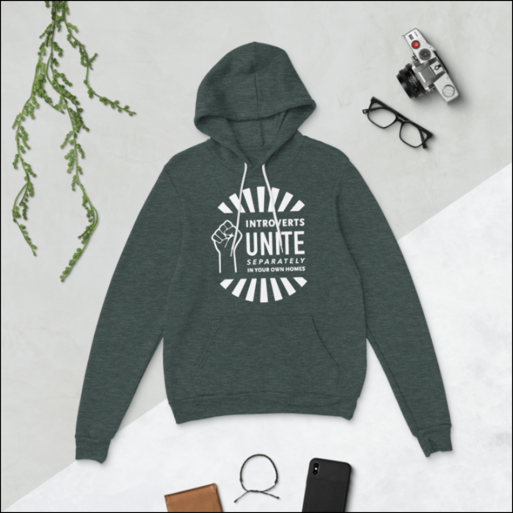 introverts unite separately in your own homes hoodie