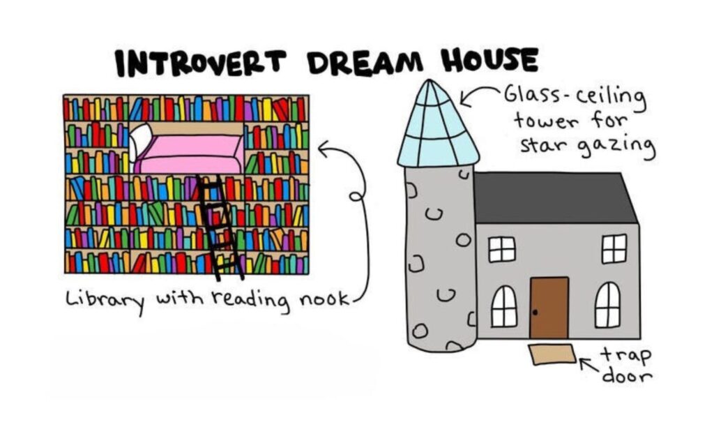 a funny illustrated book for introverts