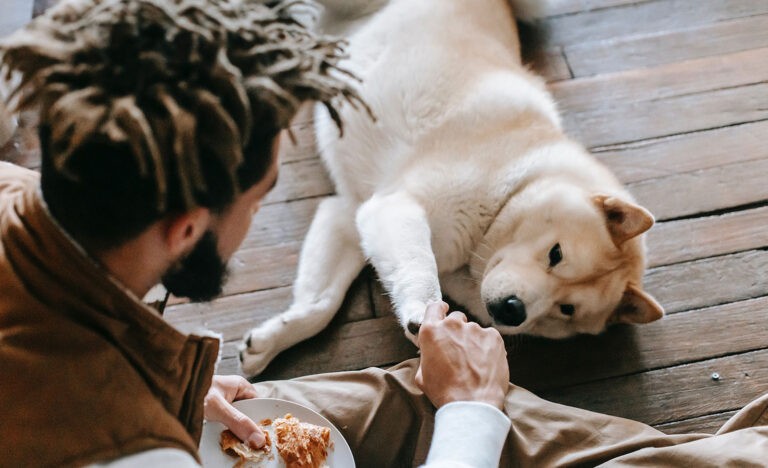 How Getting a Dog Has Helped Me as an Introvert