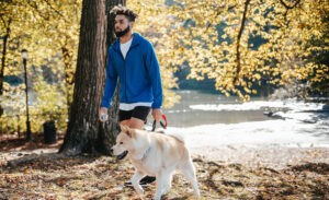 A highly sensitive introvert walks his dog