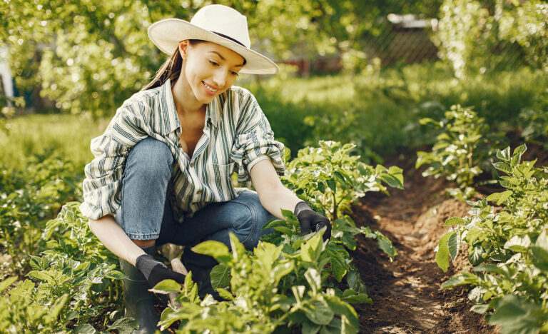 Why Gardening Is the Perfect Summer Hobby for Introverts